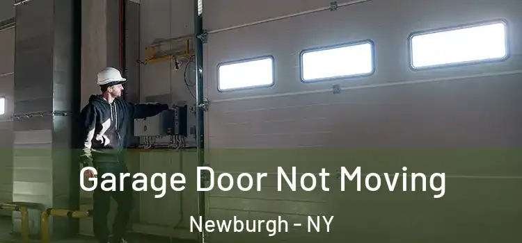  Garage Door Not Moving Newburgh - NY