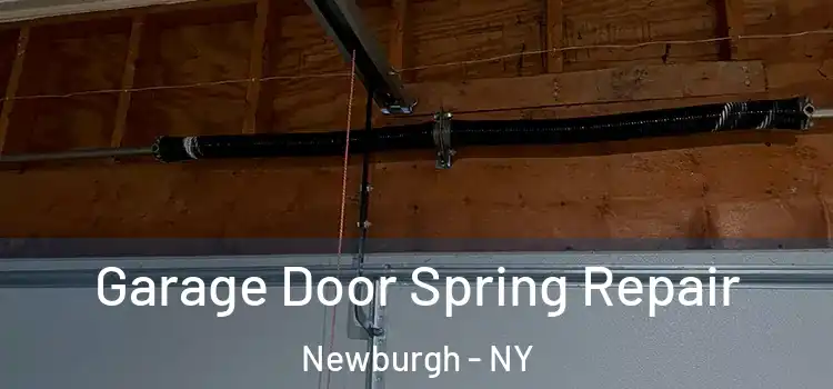  Garage Door Spring Repair Newburgh - NY