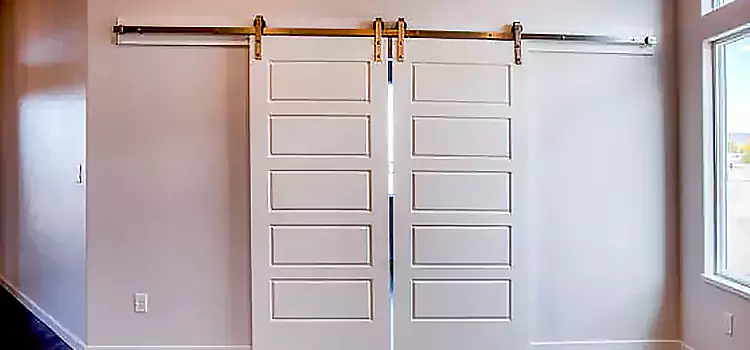 Glass Barn Door with Installation Hardware Kit Newburgh